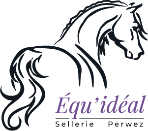Equ'Ideal